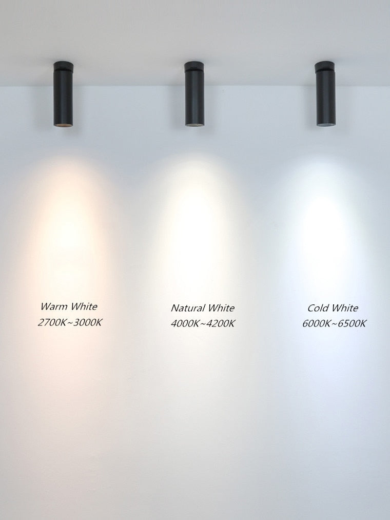 Surface Mounted LED Downlights Foldable 360° Rotatable COB LED Ceiling Spot lights 12W15W20W LED Lamps Background Wall Lighting