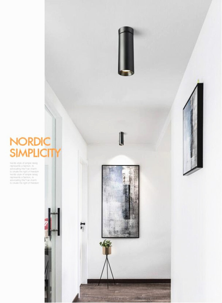 Surface Mounted LED Downlights Foldable 360° Rotatable COB LED Ceiling Spot lights 12W15W20W LED Lamps Background Wall Lighting