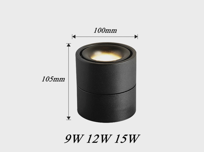 Folding Rotating Dimmable COB LED Downlights 9W 18W 24W 30W LED Ceiling Spot Lights AC85-265V LED Ceiling Lamps Indoor Lighting