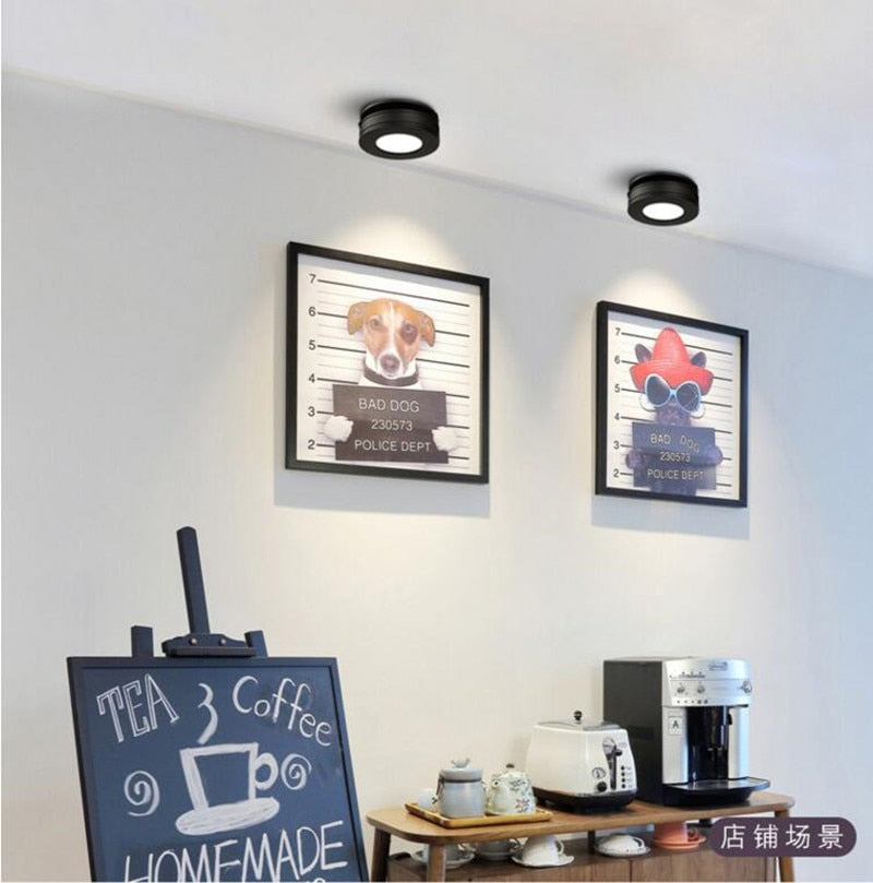 Round 90° Folding Recessed COB LED Downlights 5W/7W/12W LED Ceiling Spot lights Background Painting Lamps AC220V Indoor Lighting