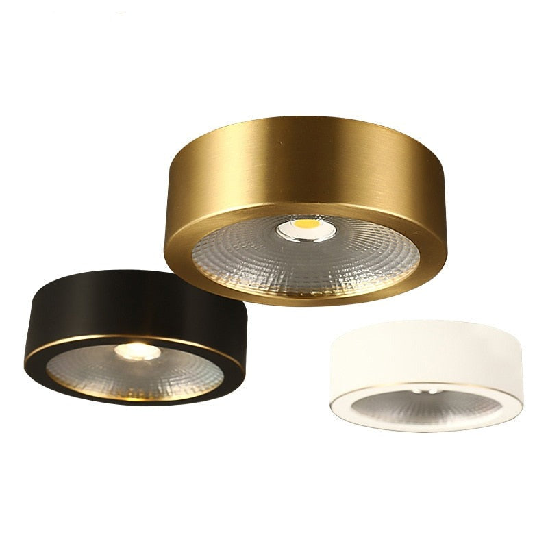 LED Downlight Surface Mounted Home Living Room Corridor Porch Hallway Aisle Embedded Brass Cob Downlight