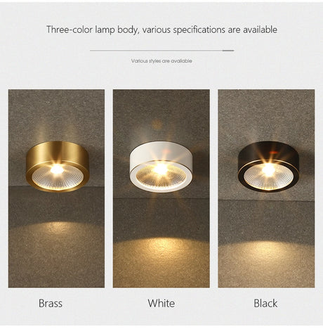 LED Downlight Surface Mounted Home Living Room Corridor Porch Hallway Aisle Embedded Brass Cob Downlight