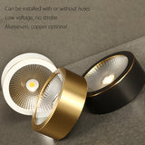 LED Downlight Surface Mounted Home Living Room Corridor Porch Hallway Aisle Embedded Brass Cob Downlight