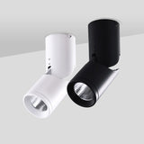 Dimmable Rotating LED Downlights 10W 15W 20W COB LED Ceiling Spot Lights AC110-220V LED Wall Lamp Warm Cold White Indoor Lighting