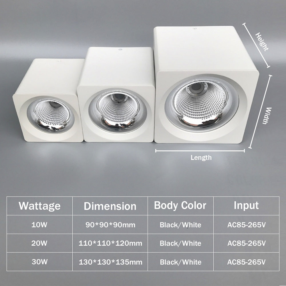 DBF Square White/Black No-Cut Surface Mounted Downlight High Power 10W 20W 30W Ceiling Spot Light 3000K/4000K/6000K AC110V 220V