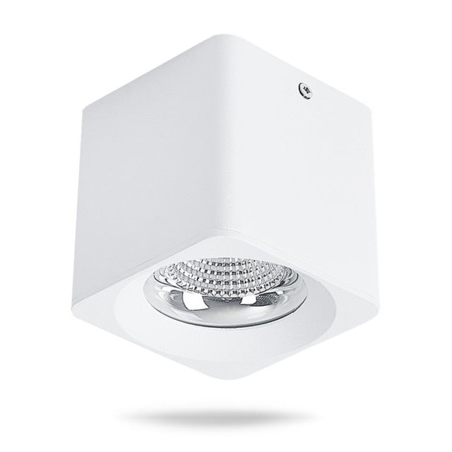 DBF Square White/Black No-Cut Surface Mounted Downlight High Power 10W 20W 30W Ceiling Spot Light 3000K/4000K/6000K AC110V 220V