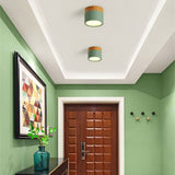 LED Downlight 7W/15W LED Ceiling Light Macaron Style Modern Colour Led Ceiling Lights Home Lighting Lamps Fixtures Lampshade D30