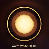 Light guide LED Downlight 3W 5W 7W 9W 12W 15W 18W Acrylic Panel Lights Ceiling Recessed Lamps High Brightness