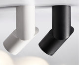 Dimmable Rotating LED Downlights 10W/15W/20W COB LED Ceiling Spot Lights AC110-220V LED Wall Lamp Warm Cold White Indoor Lighting