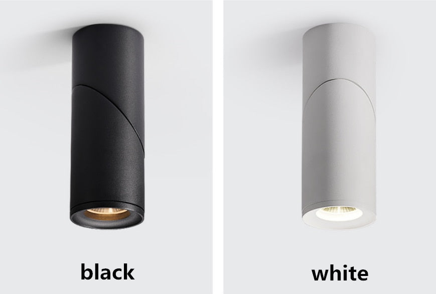 Dimmable Rotating LED Downlights 10W/15W/20W COB LED Ceiling Spot Lights AC110-220V LED Wall Lamp Warm Cold White Indoor Lighting