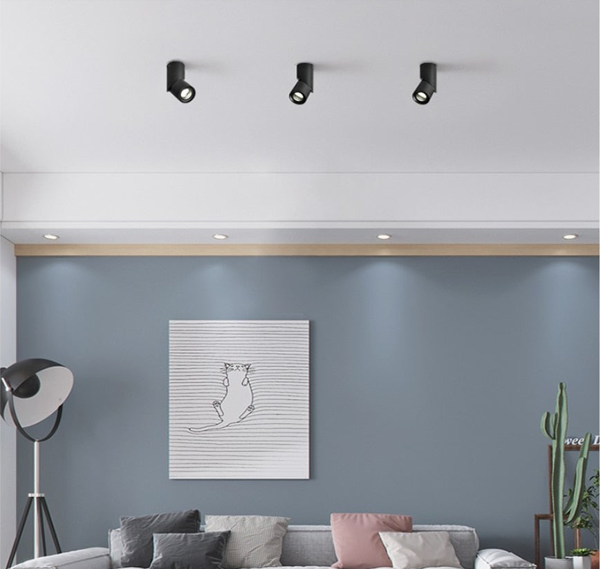 Dimmable Rotating LED Downlights 10W/15W/20W COB LED Ceiling Spot Lights AC110-220V LED Wall Lamp Warm Cold White Indoor Lighting