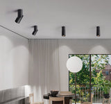 Dimmable Rotating LED Downlights 10W/15W/20W COB LED Ceiling Spot Lights AC110-220V LED Wall Lamp Warm Cold White Indoor Lighting