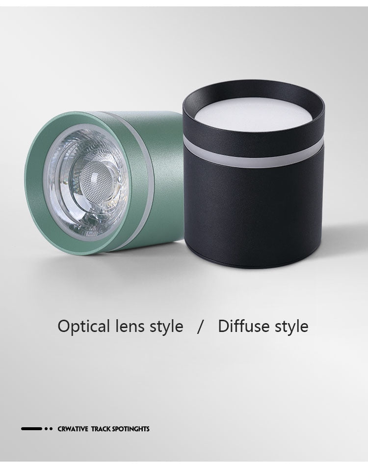  Spotlight Ceiling light Porch Living room Bedroom Bathroom Corridor Dimmable Ceiling lamp downlight 10W  AC110V 220V