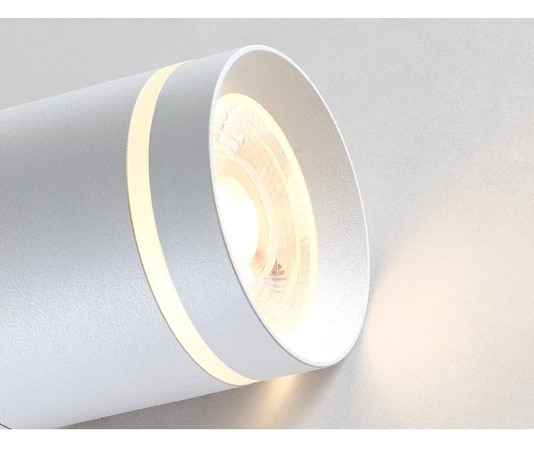  Spotlight Ceiling light Porch Living room Bedroom Bathroom Corridor Dimmable Ceiling lamp downlight 10W  AC110V 220V