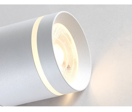  Spotlight Ceiling light Porch Living room Bedroom Bathroom Corridor Dimmable Ceiling lamp downlight 10W  AC110V 220V