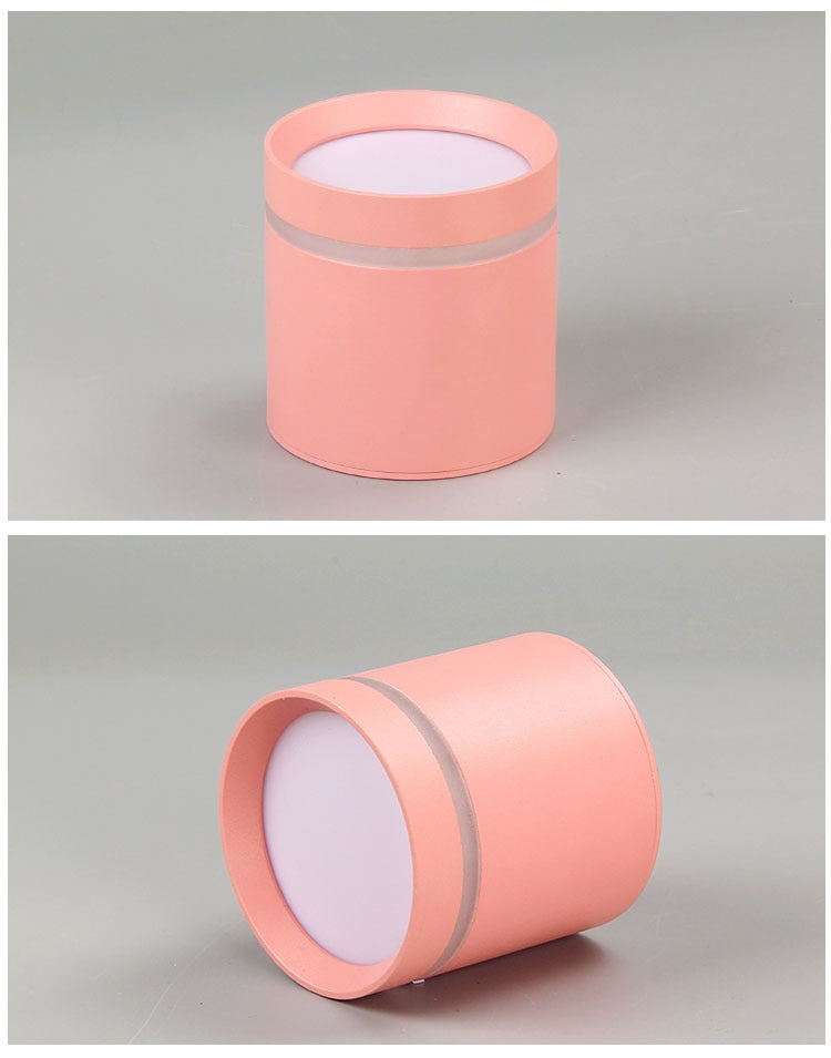  Spotlight Ceiling light Porch Living room Bedroom Bathroom Corridor Dimmable Ceiling lamp downlight 10W  AC110V 220V