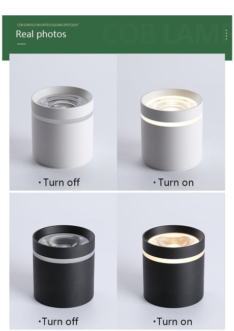  Spotlight Ceiling light Porch Living room Bedroom Bathroom Corridor Dimmable Ceiling lamp downlight 10W  AC110V 220V