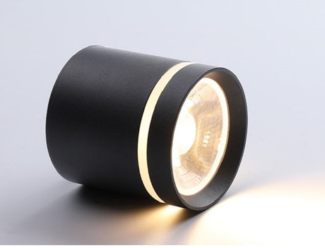  Spotlight Ceiling light Porch Living room Bedroom Bathroom Corridor Dimmable Ceiling lamp downlight 10W  AC110V 220V