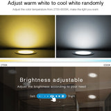 LED light Downlight dimmable smart Indoor living room light AC220V 18W RGB+CCT can Mobile phone/2.4G remote/wifi/voice control