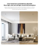 Smart downlight and Smart Downlight M2 Ceiling Down Light Mesh Edition to Mi home App smart Control