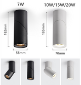 Dimmable Rotating LED Downlights 10W 15W 20W COB LED Ceiling Spot Lights AC110-220V LED Warm Cold White Indoor Lighting