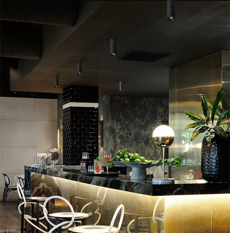 Dimmable Rotating LED Downlights 10W 15W 20W COB LED Ceiling Spot Lights AC110-220V LED Warm Cold White Indoor Lighting