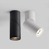 Dimmable Rotating LED Downlights 10W 15W 20W COB LED Ceiling Spot Lights AC110-220V LED Warm Cold White Indoor Lighting