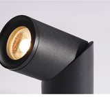 Dimmable Rotating LED Downlights 10W 15W 20W COB LED Ceiling Spot Lights AC110-220V LED Warm Cold White Indoor Lighting