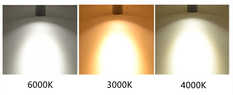 Dimmable Rotating LED Downlights 10W 15W 20W COB LED Ceiling Spot Lights AC110-220V LED Warm Cold White Indoor Lighting