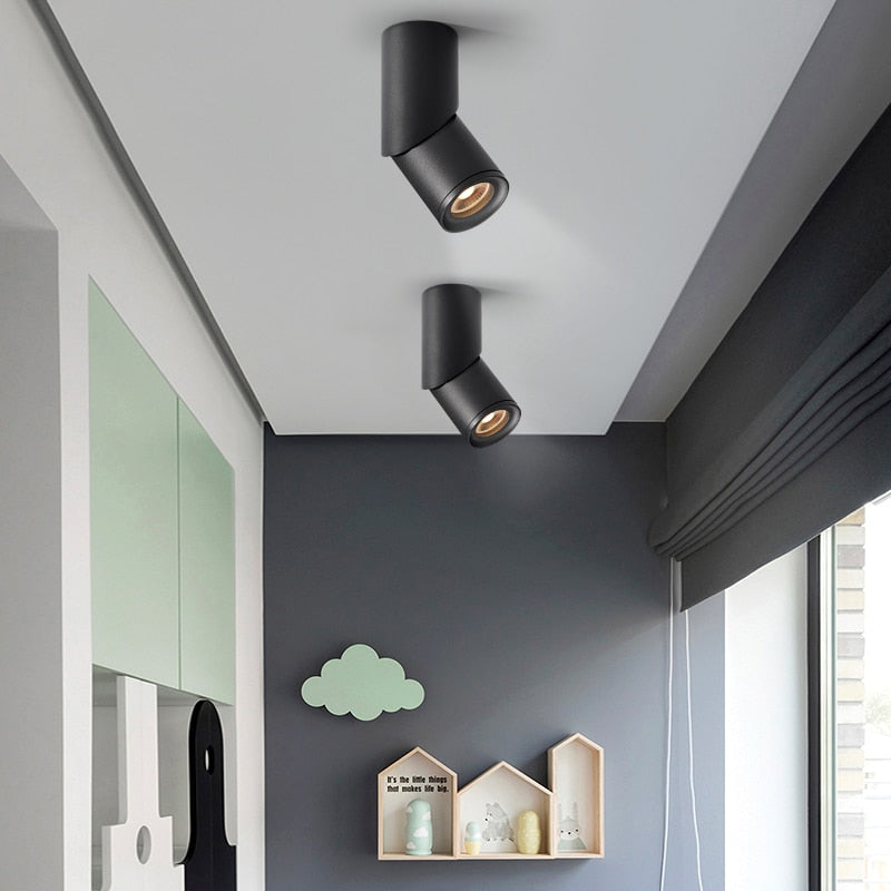 Dimmable Rotating LED Downlights 10W 15W 20W COB LED Ceiling Spot Lights AC110-220V LED Warm Cold White Indoor Lighting