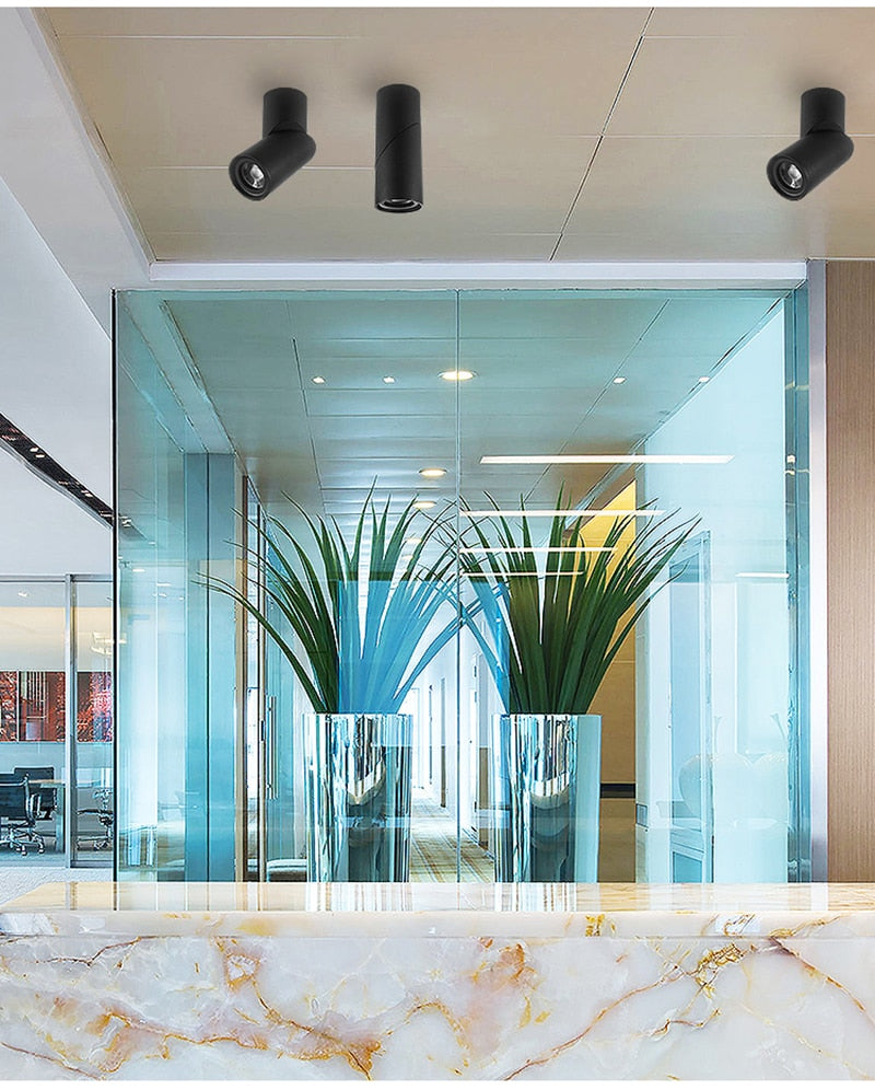 Dimmable Rotating LED Downlights 10W 15W 20W COB LED Ceiling Spot Lights AC110-220V LED Warm Cold White Indoor Lighting