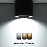 LED Surface Mounted Downlight High Bright COB Ceiling Lamps Spot Light 7W 12W 20W AC85-265V LED downlight Hotel home lighting