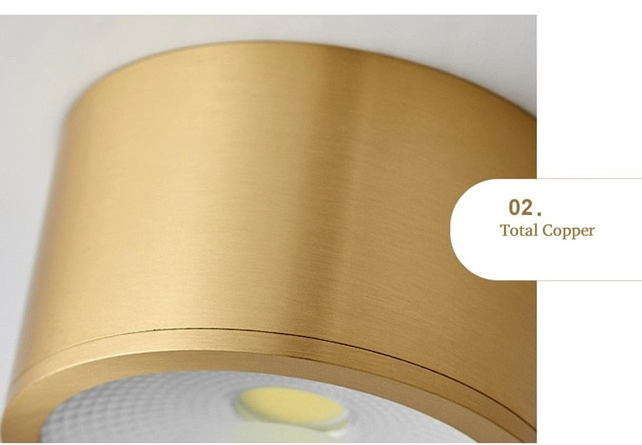 Copper Surface Mounted Ceiling Downlight 7W LED Ceiling Spot Light for Living Room Bedroom Corridor Spot Light Home Fixture