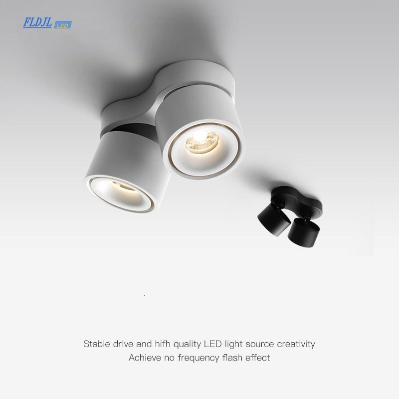 Dimmable Surface Mounted LED COB Downlight 20W/24W Rotating LED Spot Light Ceiling Lamp with LED Driver AC110V/220V