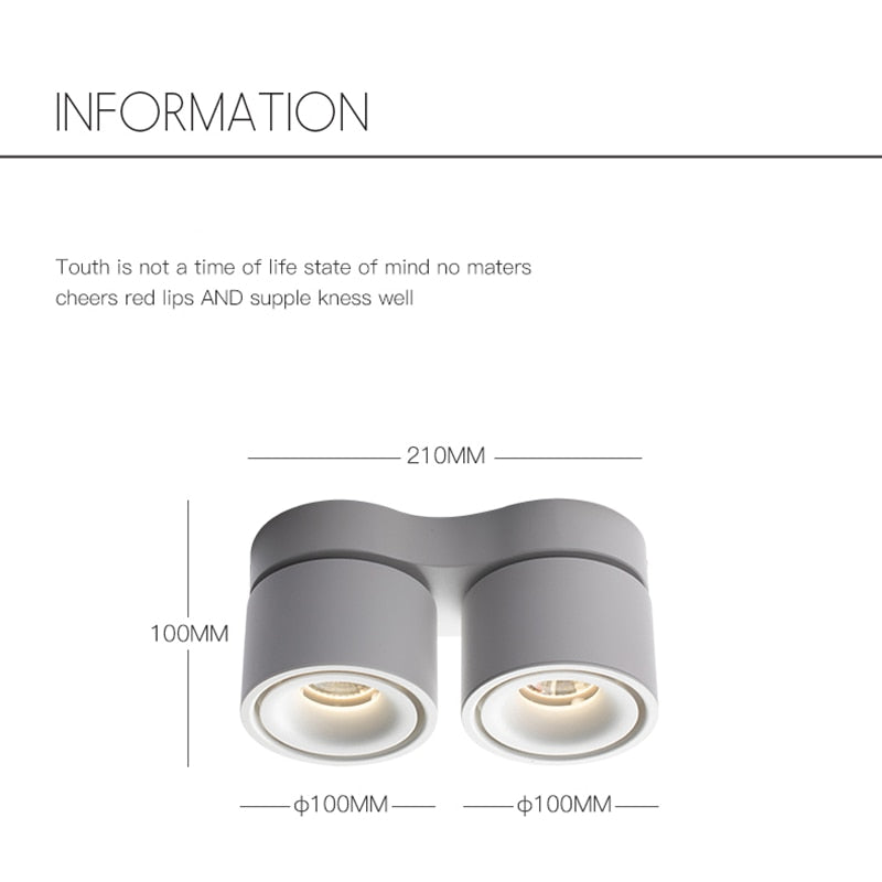 Dimmable Surface Mounted LED COB Downlight 20W/24W Rotating LED Spot Light Ceiling Lamp with LED Driver AC110V/220V
