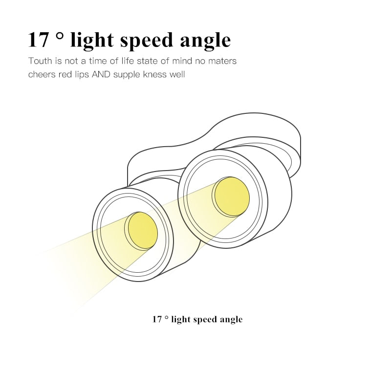 Dimmable Surface Mounted LED COB Downlight 20W/24W Rotating LED Spot Light Ceiling Lamp with LED Driver AC110V/220V