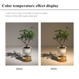 Dimmable Surface Mounted LED COB Downlight 20W/24W Rotating LED Spot Light Ceiling Lamp with LED Driver AC110V/220V