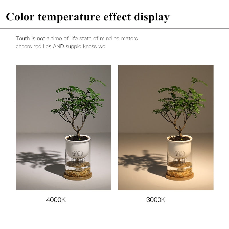 Dimmable Surface Mounted LED COB Downlight 20W/24W Rotating LED Spot Light Ceiling Lamp with LED Driver AC110V/220V