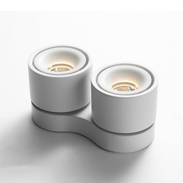 Dimmable Surface Mounted LED COB Downlight 20W/24W Rotating LED Spot Light Ceiling Lamp with LED Driver AC110V/220V