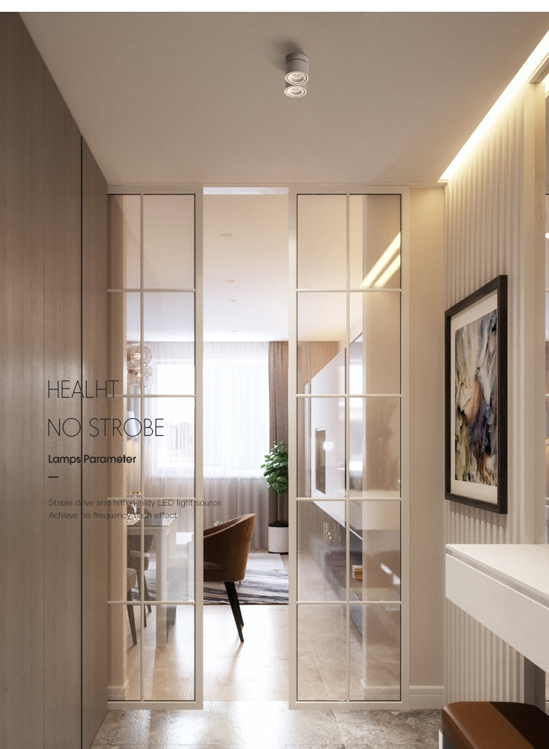 Dimmable Surface Mounted LED COB Downlight 20W/24W Rotating LED Spot Light Ceiling Lamp with LED Driver AC110V/220V