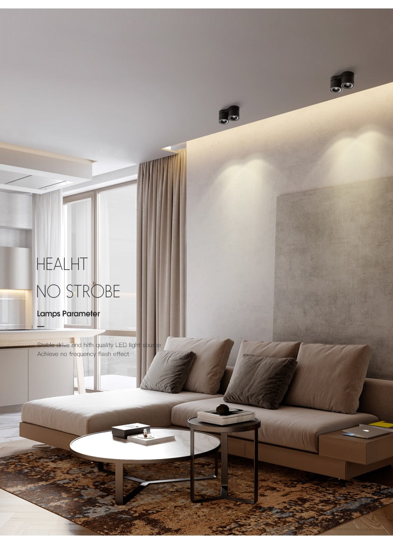 Dimmable Surface Mounted LED COB Downlight 20W/24W Rotating LED Spot Light Ceiling Lamp with LED Driver AC110V/220V