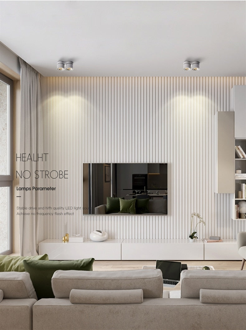 Dimmable Surface Mounted LED COB Downlight 20W/24W Rotating LED Spot Light Ceiling Lamp with LED Driver AC110V/220V