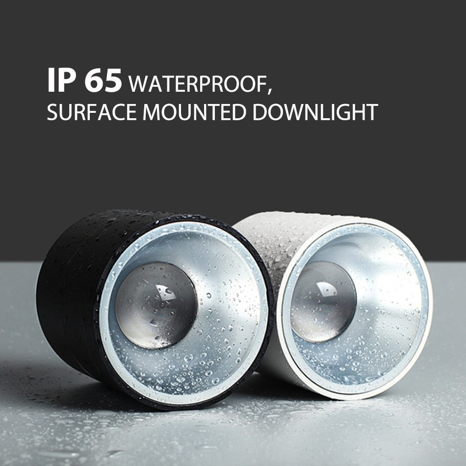 LED waterproof Ip65 COB Ceiling outdoor Surface Mounted 8W 12W 15W 20W 30W AC85-265V LED downlight Hotel villa home lighting