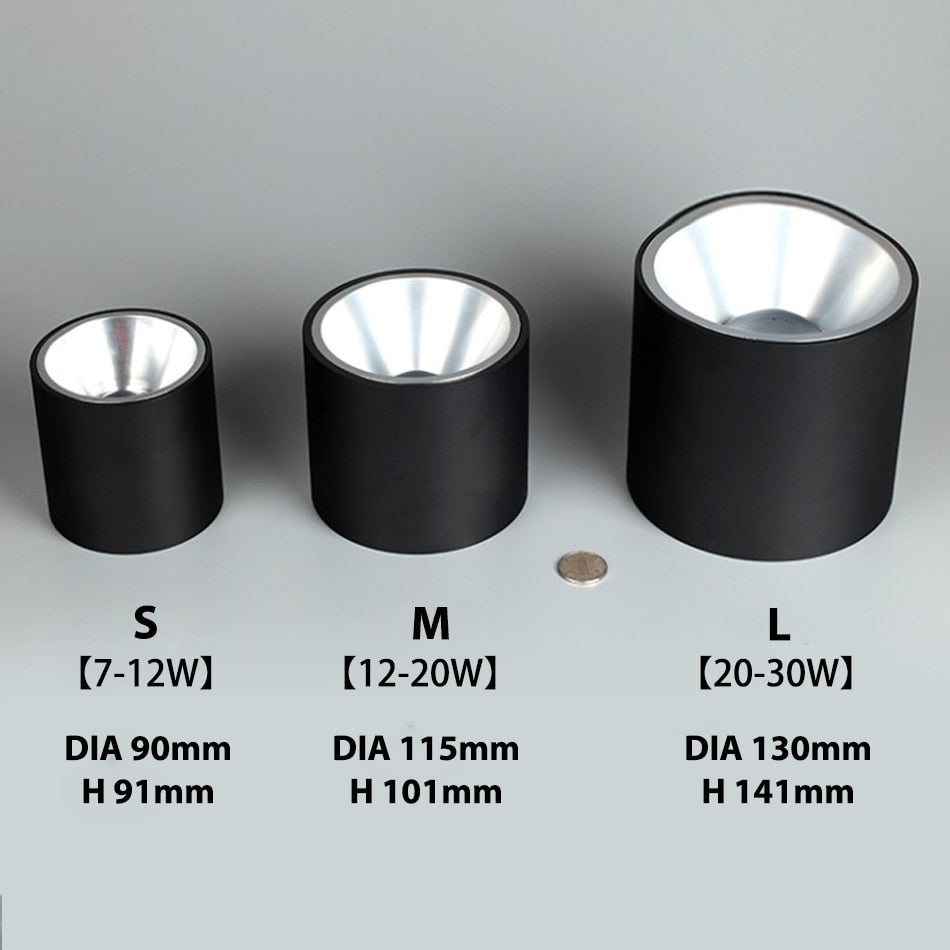 LED waterproof Ip65 COB Ceiling outdoor Surface Mounted 8W 12W 15W 20W 30W AC85-265V LED downlight Hotel villa home lighting