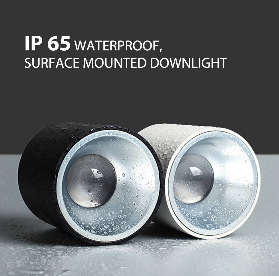 LED waterproof Ip65 COB Ceiling outdoor Surface Mounted 8W 12W 15W 20W 30W AC85-265V LED downlight Hotel villa home lighting