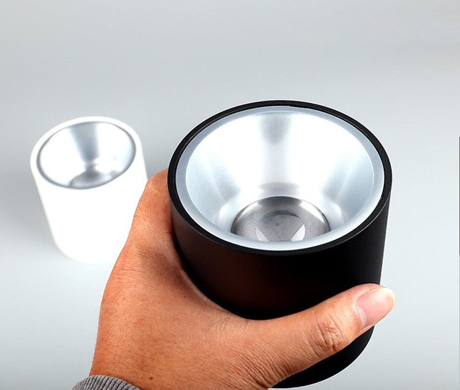 LED waterproof Ip65 COB Ceiling outdoor Surface Mounted 8W 12W 15W 20W 30W AC85-265V LED downlight Hotel villa home lighting