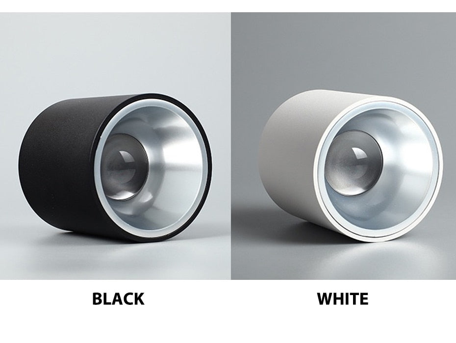 LED waterproof Ip65 COB Ceiling outdoor Surface Mounted 8W 12W 15W 20W 30W AC85-265V LED downlight Hotel villa home lighting