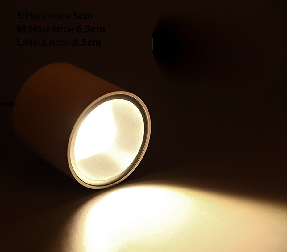 LED waterproof Ip65 COB Ceiling outdoor Surface Mounted 8W 12W 15W 20W 30W AC85-265V LED downlight Hotel villa home lighting