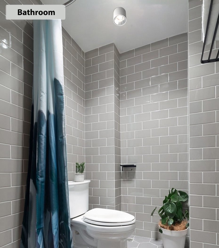 LED waterproof Ip65 COB Ceiling outdoor Surface Mounted 8W 12W 15W 20W 30W AC85-265V LED downlight Hotel villa home lighting