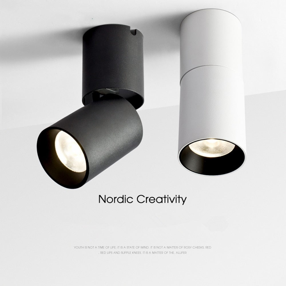 Surface Mounted Led Downlight 7W 12W Dimmable Ceiling Downlight 360 Degree Rotatable Spot light For Living Room Store Spot light